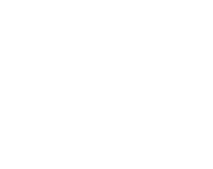 Splash Tours Liverpool